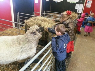Bso Nes groep 2c ging op kraamvisite bij kinderboerderij Kibo