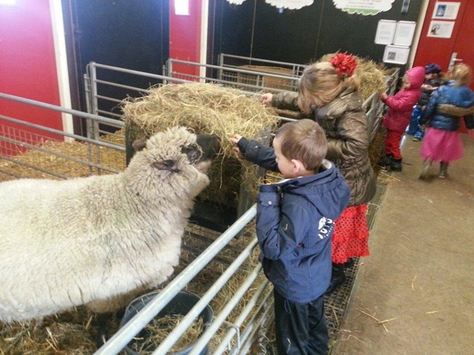 Bso Nes groep 2c ging op kraamvisite bij kinderboerderij Kibo