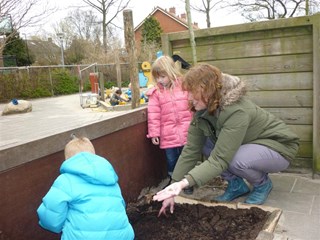 In de kindertuintjes van ’t Bikkeltje zijn de groenten en kruiden gezaaid.