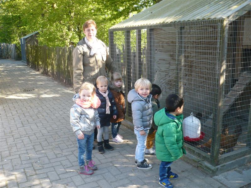 Bikkel 5 op visite bij de beestjes van Kibo