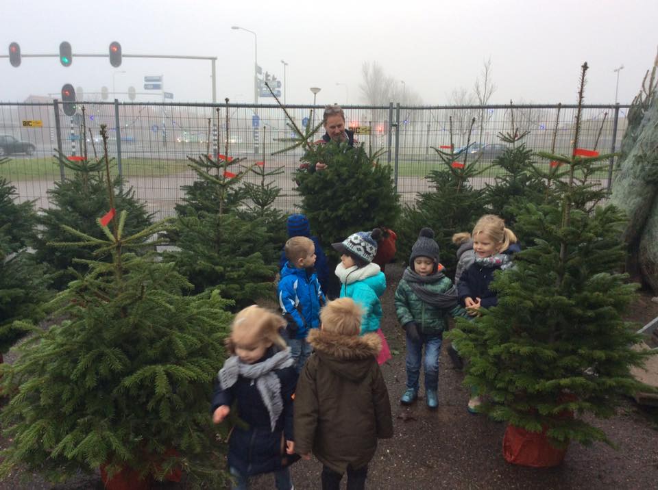 Kinderen van De Trommel zoeken eigen kerstboom uit