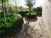 Op &#39;t Schommeltjeen De Trommel kunnen de kinderen lekker buiten spelen tussen het groen - Foto Groen Cement