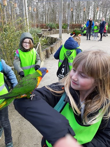 20190315 met staking naar hoenderdaell